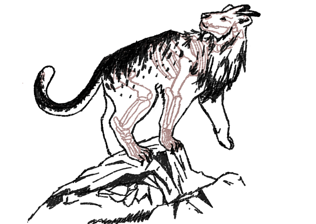 Lion-looking creature, it displays short horns and darker fur on its back and tail.