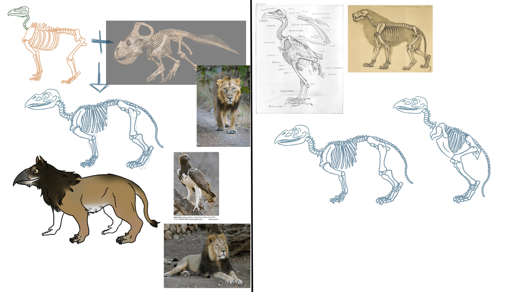 Several sketches combining the anatomy of a lion with of a triceratops, some of them colored.