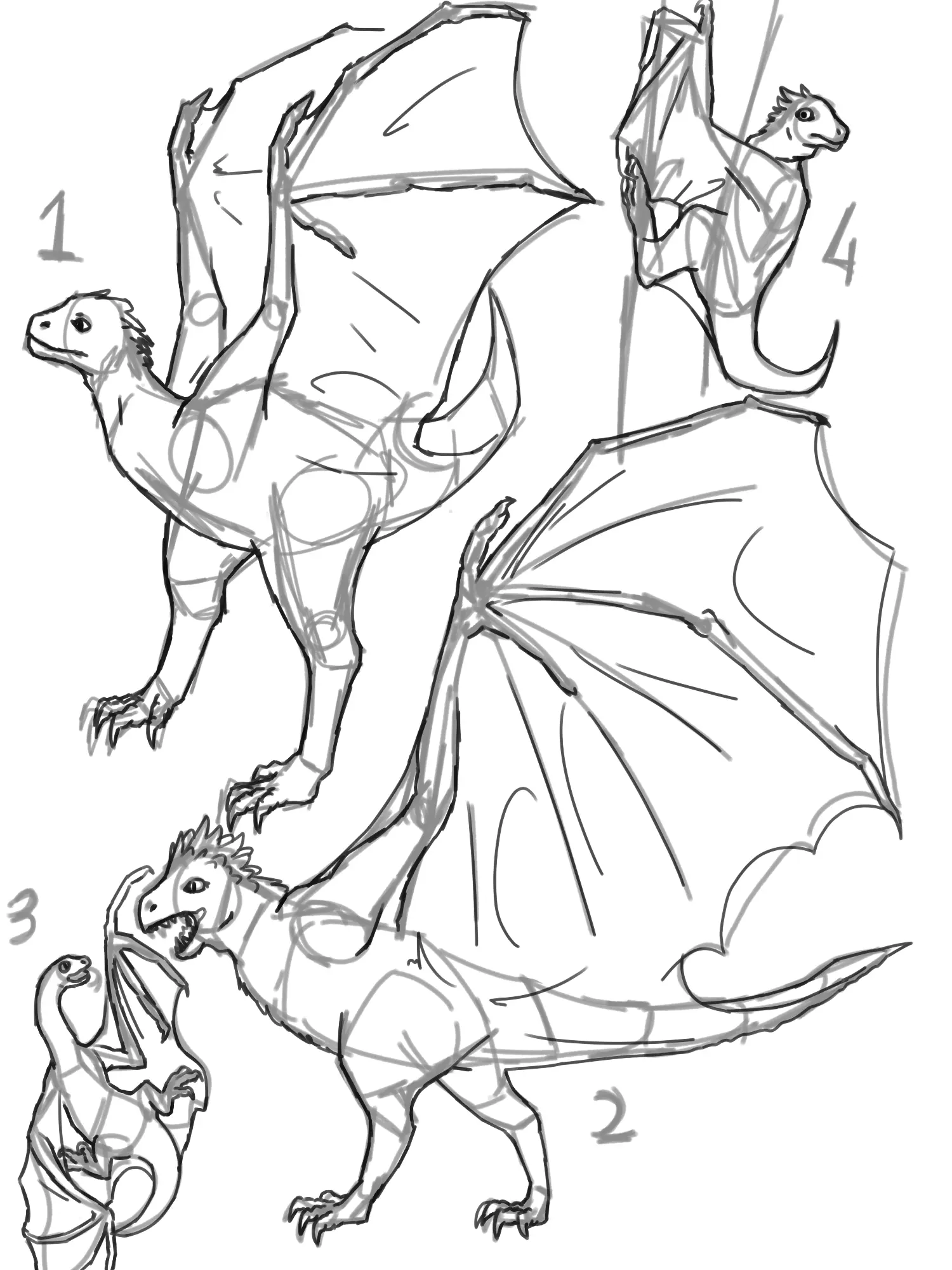A collection of 4 sketches of different dinosaurs with bat-like wings, resembling dragons.