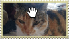 Photo of a calico cat face with a hand-shaped Windows pointer petting her.